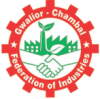 Supporting Organization 8